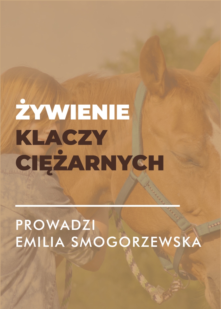 Certyfikowany webinar – żywienie klaczy ciężarnych (nagranie)