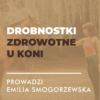 Certyfikowany webinar- Drobnostki zdrowotne u koni (nagranie )