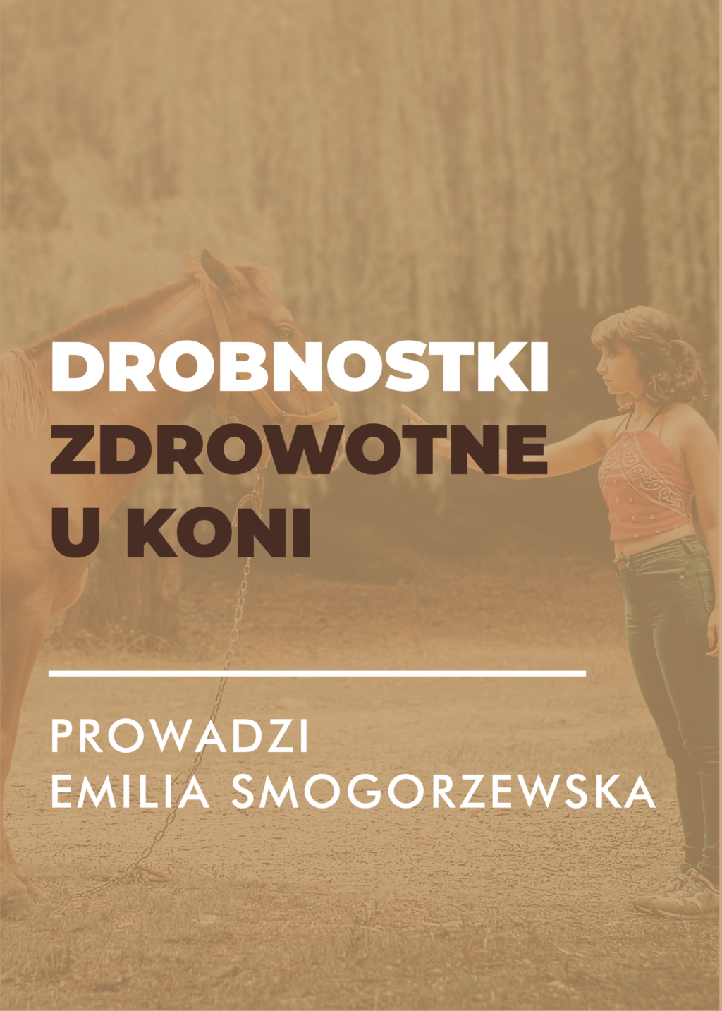 drobnostki