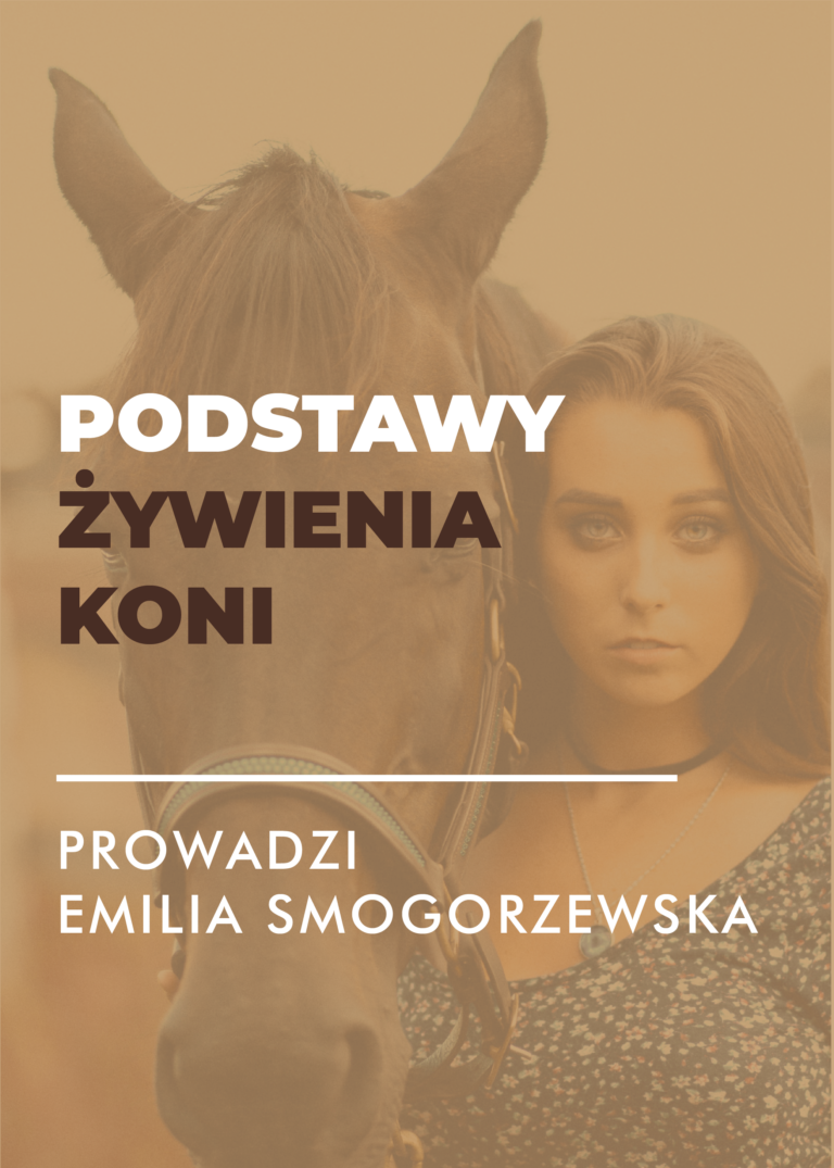 Certyfikowany webinar– podstawy żywienia koni Nowa Edycja (nagranie)