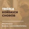 Certyfikowany webinar – Trójca końskich chorób. Kolka, wrzody, astma (nagranie)
