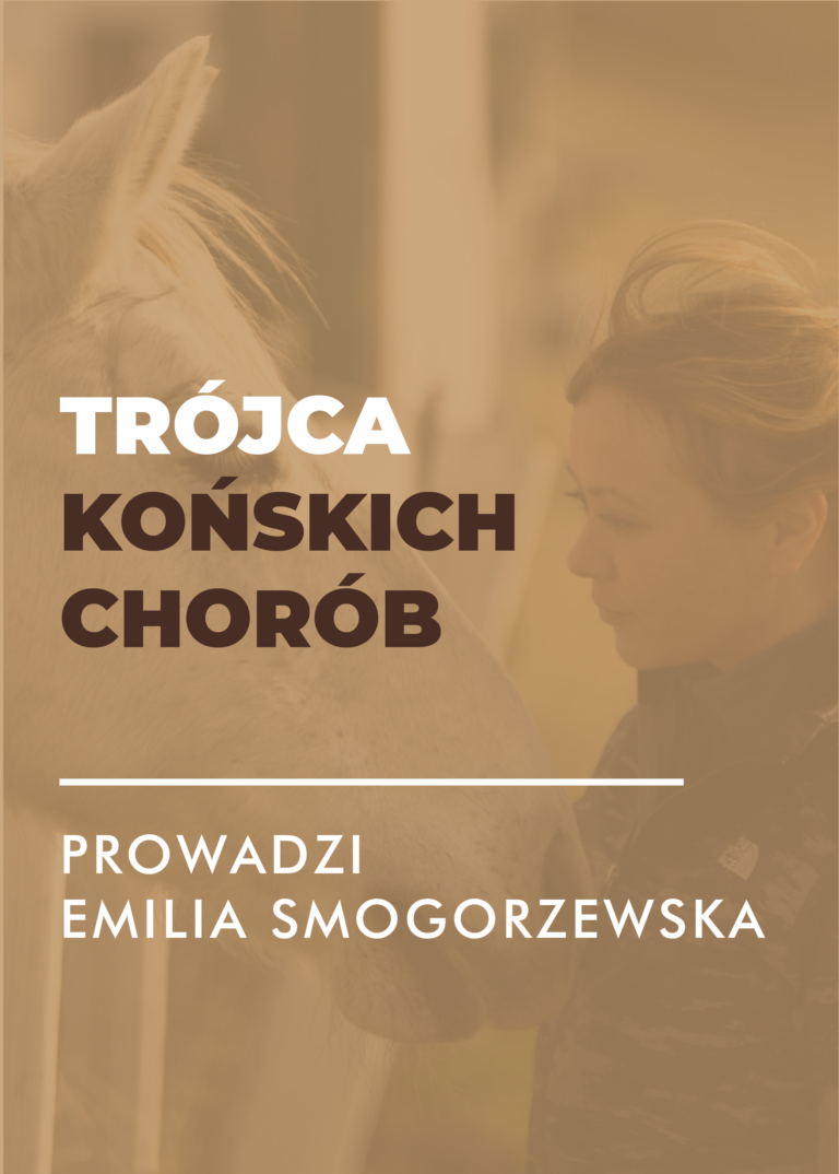 Certyfikowany webinar – Trójca końskich chorób. Kolka, wrzody, astma (nagranie)