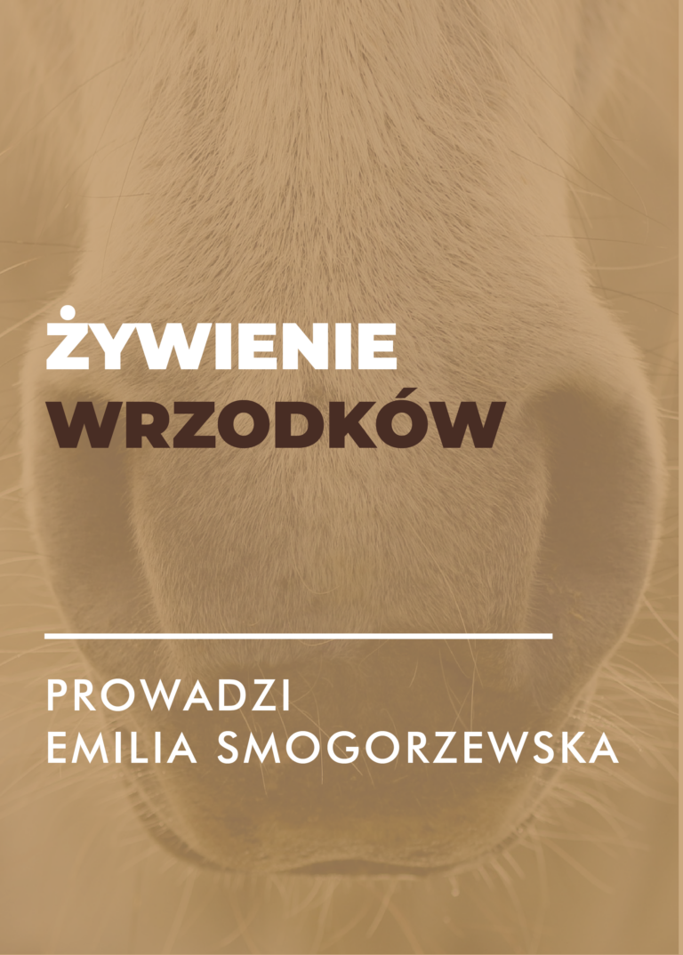 Certyfikowany webinar – żywienie koni wrzodowych (nagranie)