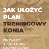 Certyfikowany webinar- Jak ułożyć indywidualny plan treningowy? (nagranie)