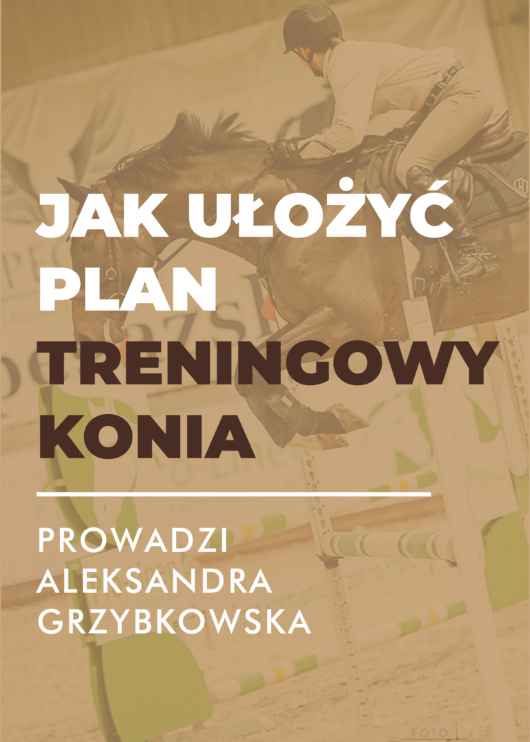 Certyfikowany webinar- Jak ułożyć indywidualny plan treningowy? (nagranie)