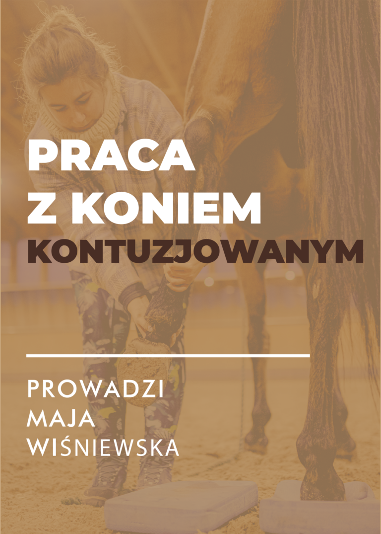 Certyfikowany webinar- Praca z koniem kontuzjowanym (nagranie)