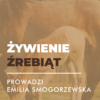 Certyfikowany webinar- Żywienie źrebiąt (nagranie)