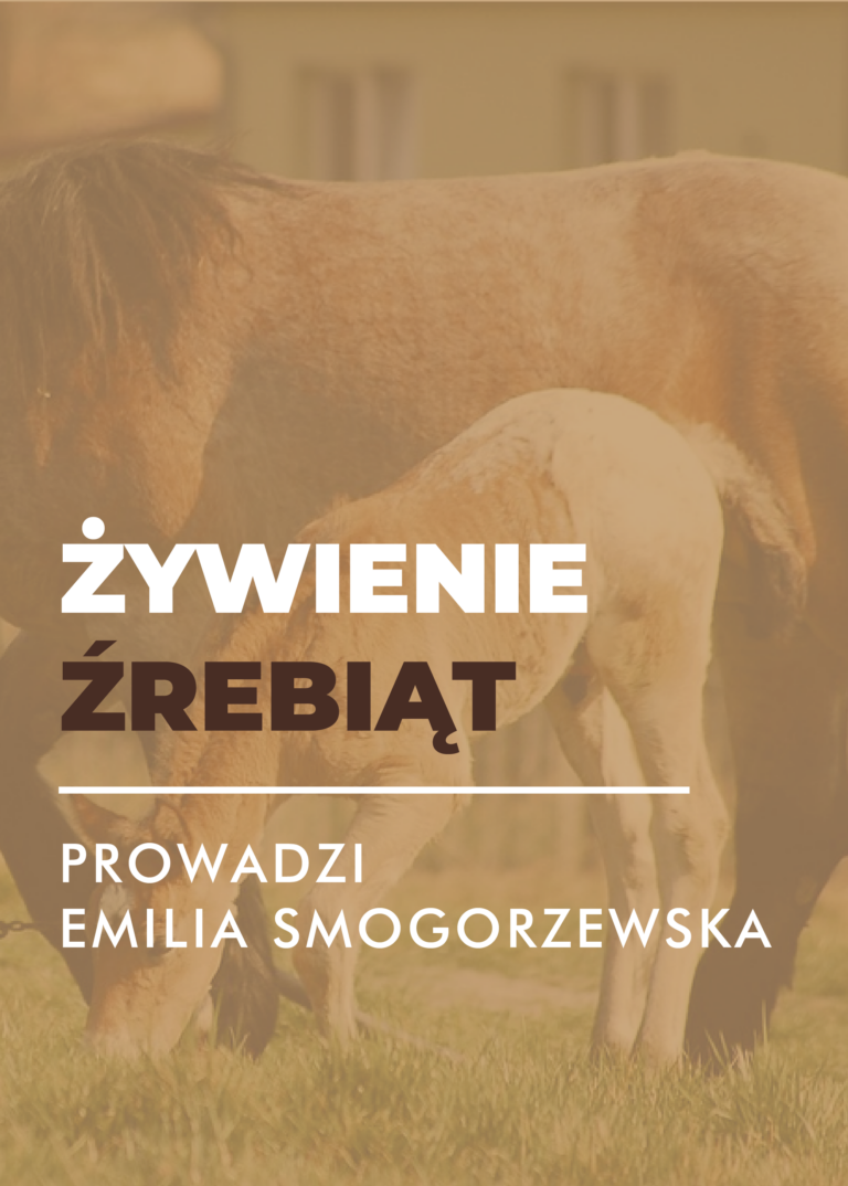 Certyfikowany webinar- Żywienie źrebiąt (nagranie)