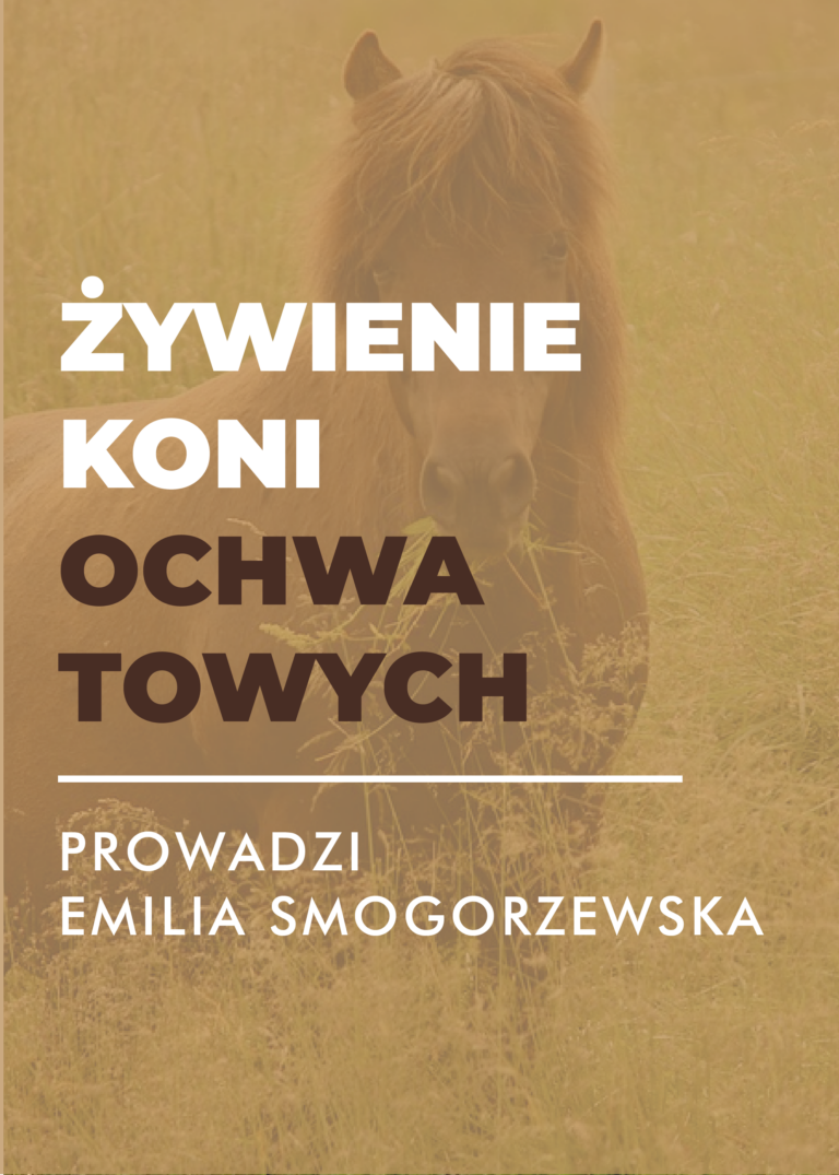 Certyfikowany webinar- Żywienie koni ochwatowych (nagranie)