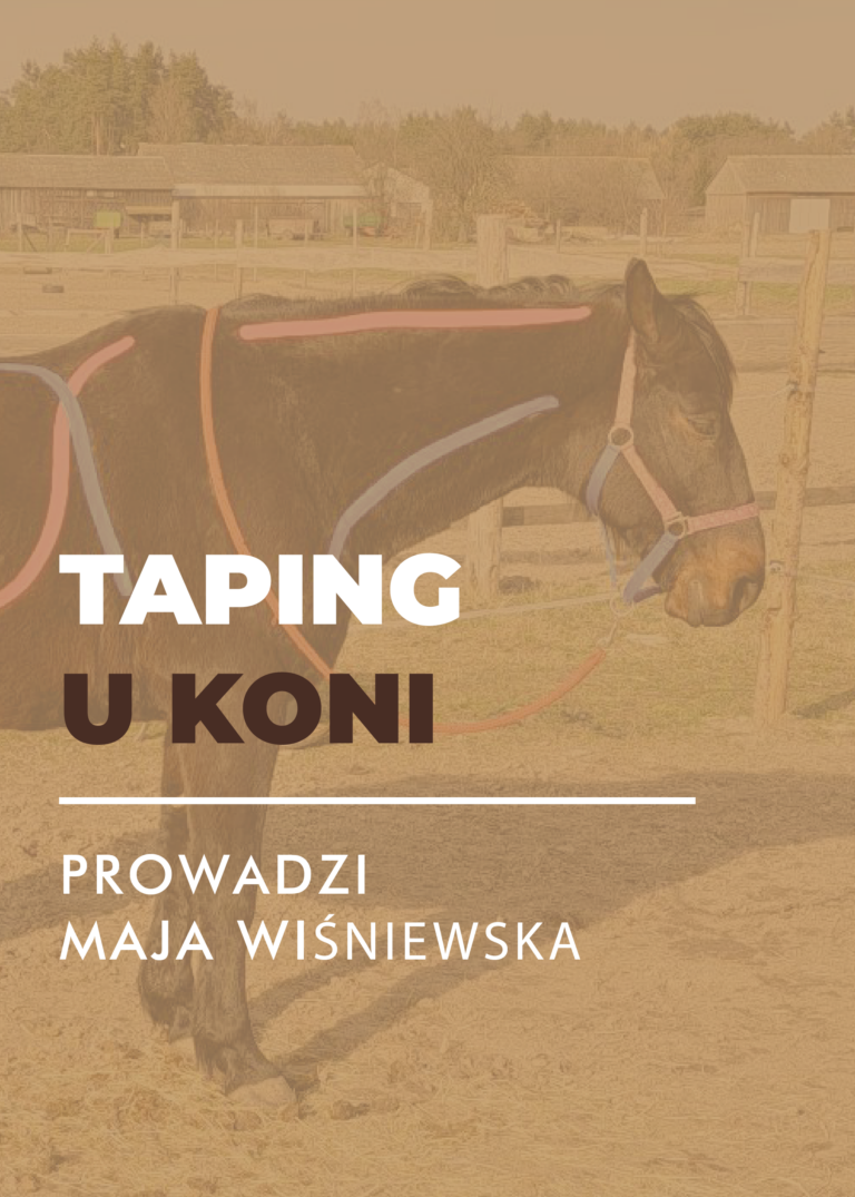 Certyfikowany webinar- Taping u koni (nagranie)