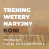 Certyfikowany webinar- Trening weterynaryjny koni (nagranie)