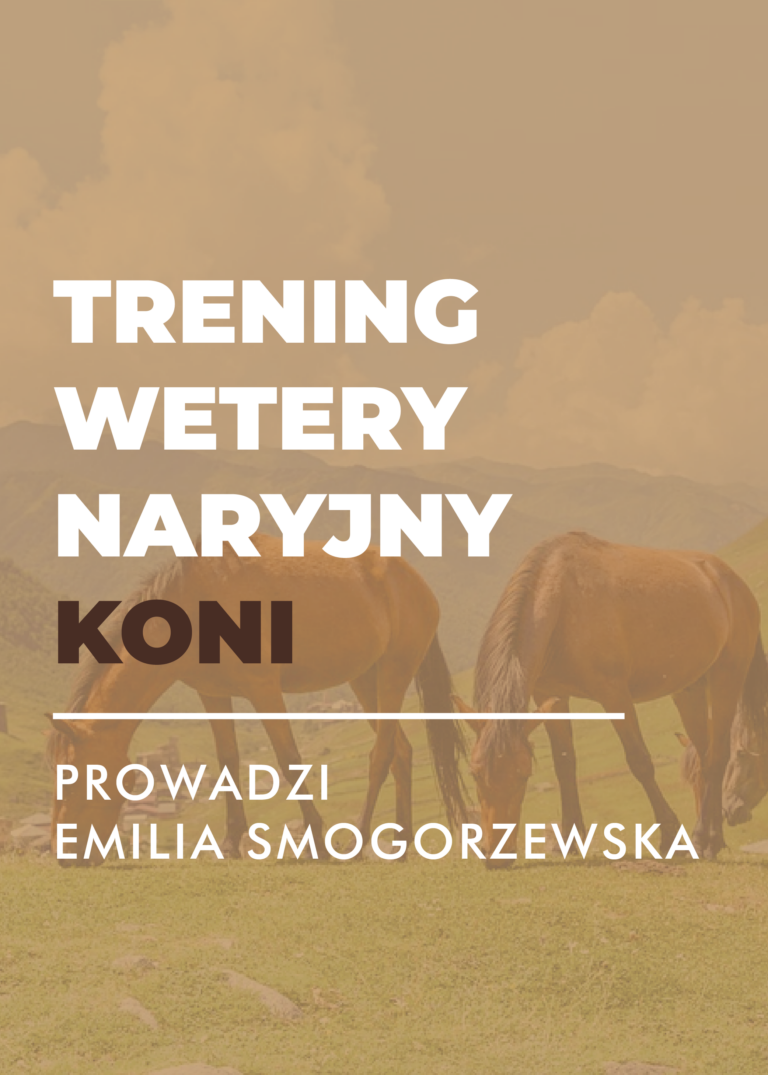 Certyfikowany webinar- Trening weterynaryjny koni (nagranie)