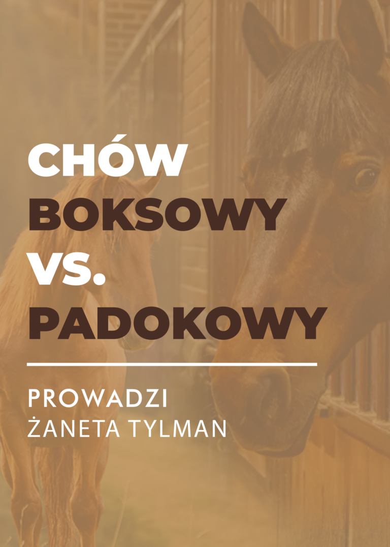 Certyfikowany webinar- Sposoby utrzymania koni, ich wpływ na problemy behawioralne i zdrowotne (nagranie)