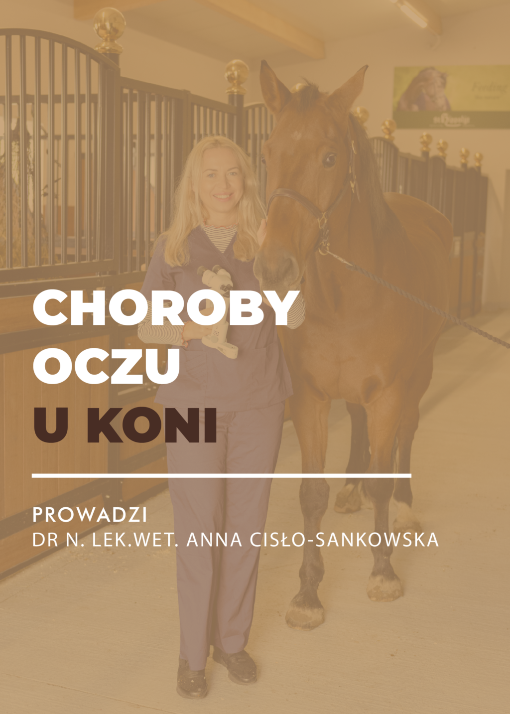 MINIATURY WEBINARY-24