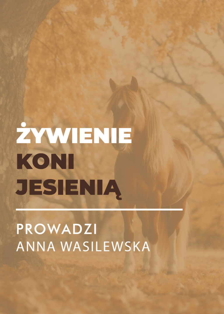 Certyfikowany webinar- Żywienie koni jesienią (nagranie)