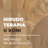 MINIATURY WEBINARY-23 Certyfikowany webinar- Hirudoterapia u koni (nagranie)