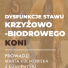 Certyfikowany webinar- Dysfunkcje stawu krzyżowo-biodrowego u koni (nagranie)