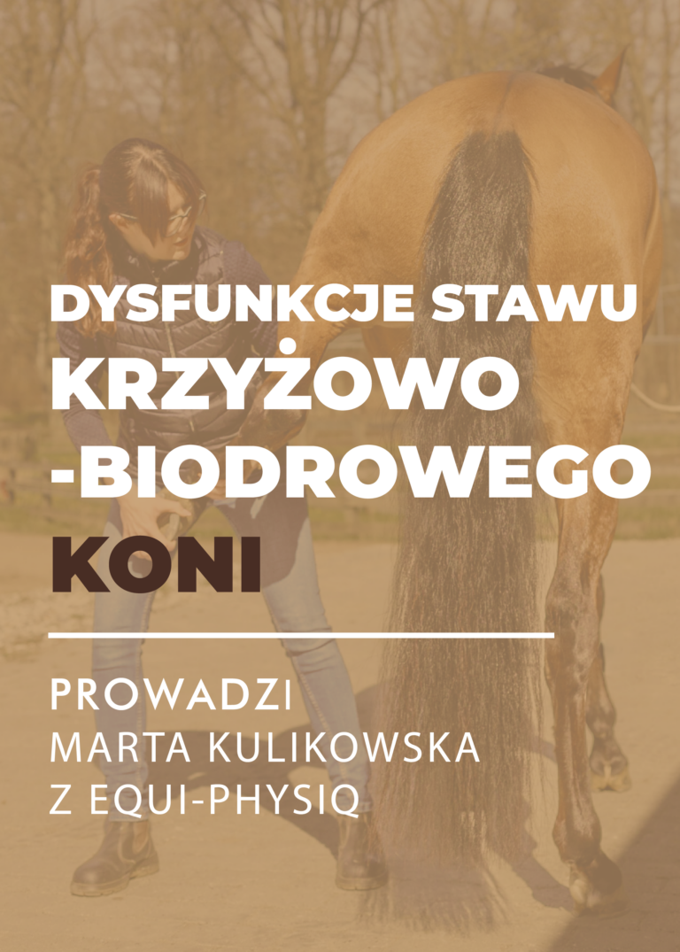 Certyfikowany webinar- Dysfunkcje stawu krzyżowo-biodrowego u koni (nagranie)