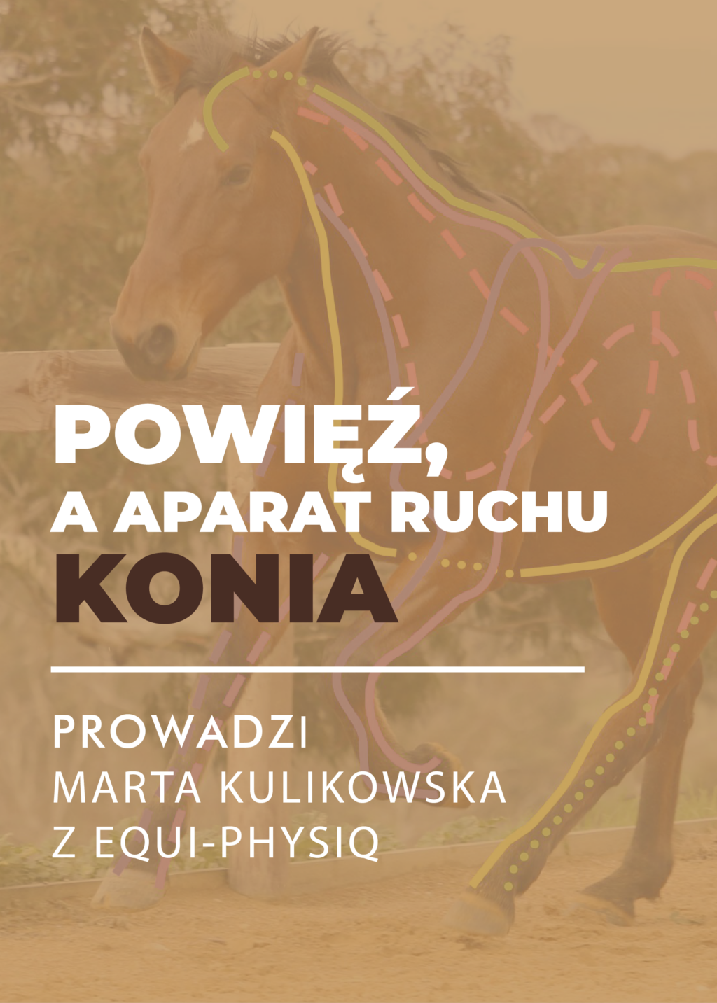 MINIATURY WEBINARY-19-23