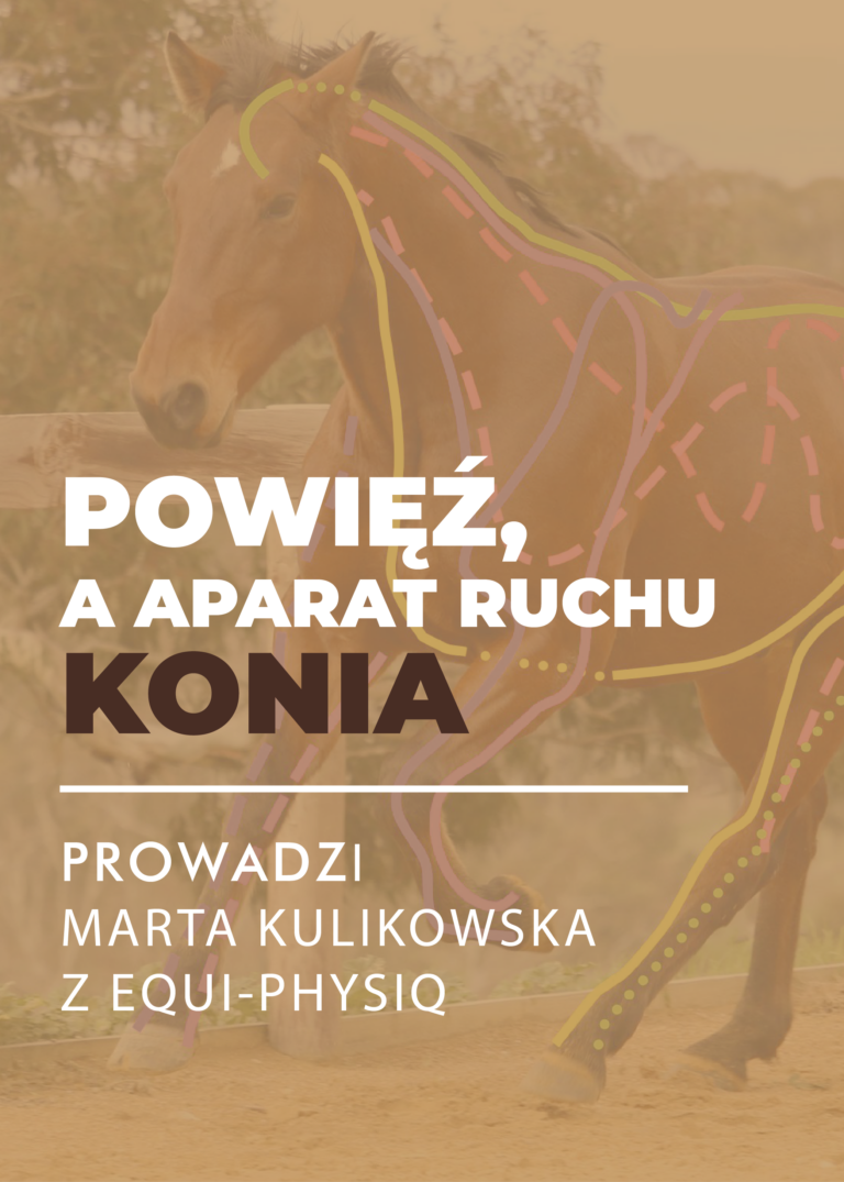 Certyfikowany webinar- Powięź – klucz do zrozumienia zaburzeń w obrębie aparatu ruchu koni (nagranie)