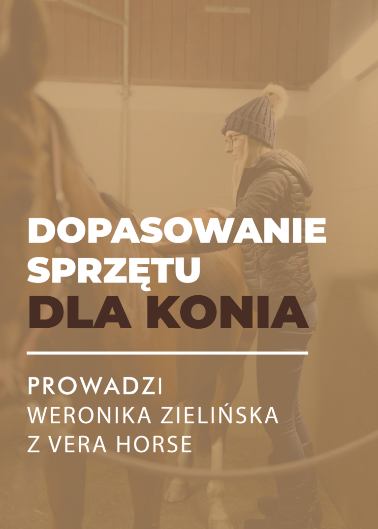 Certyfikowany webinar- Podstawy dopasowania sprzętu dla konia (nagranie)