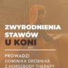 Certyfikowany webinar- Zwyrodnienia stawów u koni (nagranie)