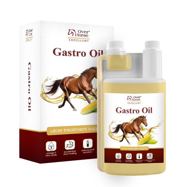 Gastro Oil 2l
