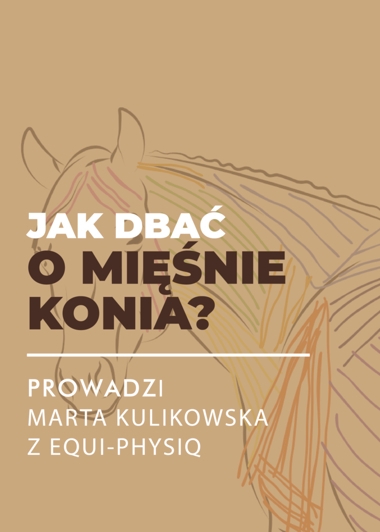 Certyfikowany webinar- Jak dbać o mięśnie konia. Trening, dieta i regeneracja (nagranie)