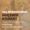 Certyfikowany webinar- Jak rozbudować mięśnie konia (nagranie)
