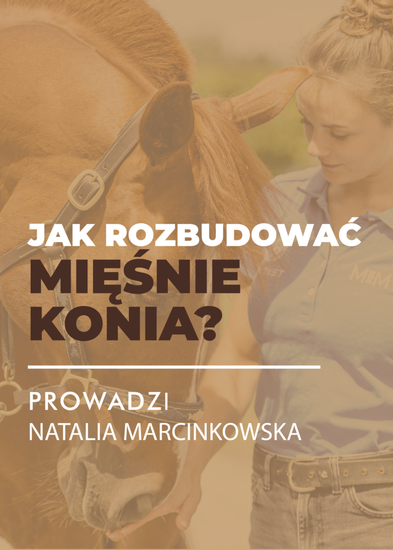 Certyfikowany webinar- Jak rozbudować mięśnie konia (nagranie)