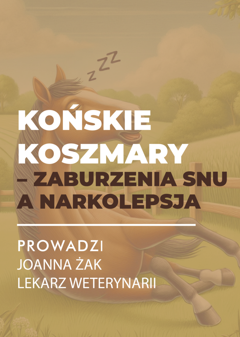 Certyfikowany webinar- Zaburzenia snu a narkolepsja u koni (nagranie)