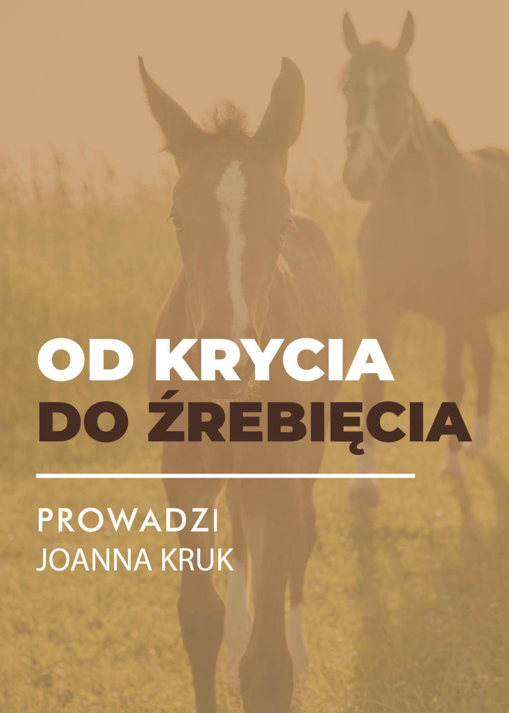 MINIATURY WEBINARY-23