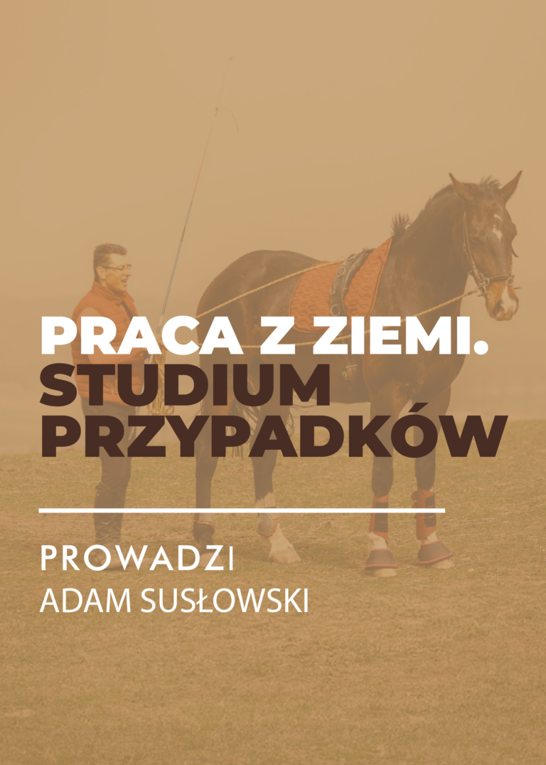 Certyfikowany webinar- Praca z ziemi. Studium przypadków (nagranie)