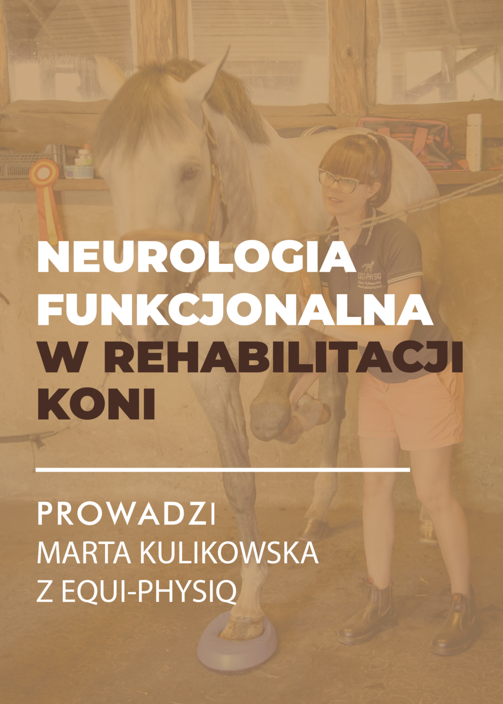 MINIATURY WEBINARY-23