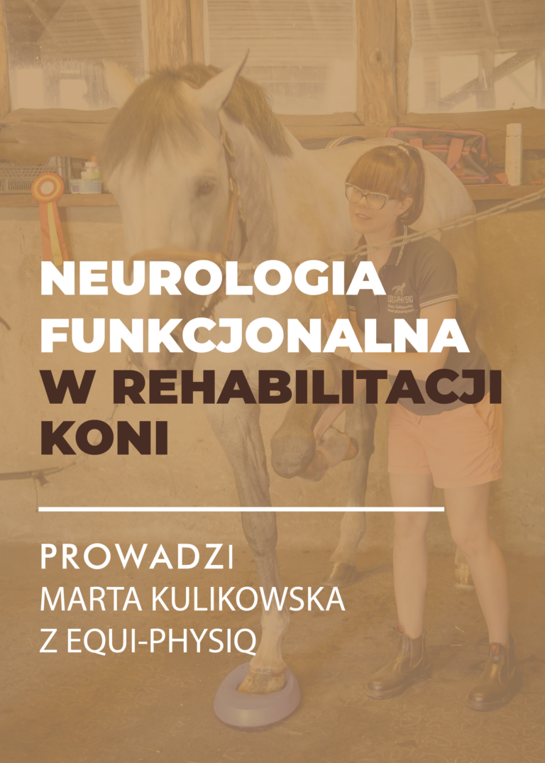 Certyfikowany webinar-Neurologia funkcjonalna w rehabilitacji koni (nagranie)