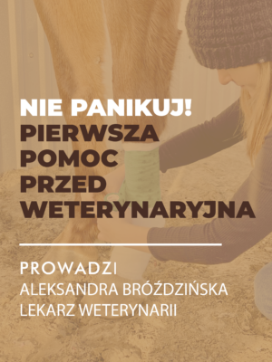Certyfikowany webinar- Pierwsza pomoc przedweterynaryjna u koni (nagranie)
