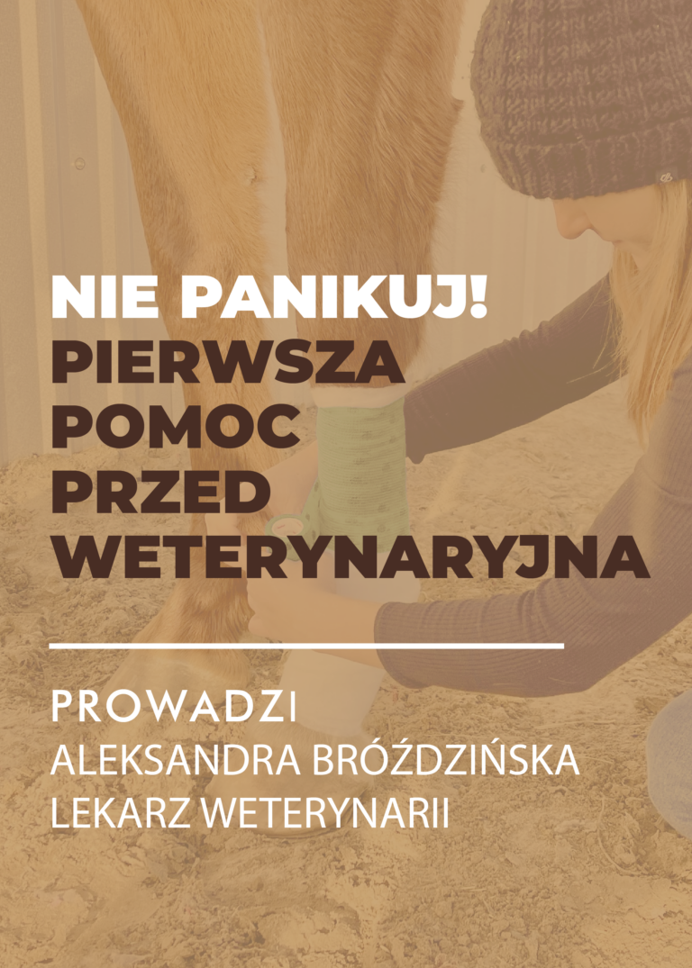 Certyfikowany webinar- Pierwsza pomoc przedweterynaryjna u koni (nagranie)