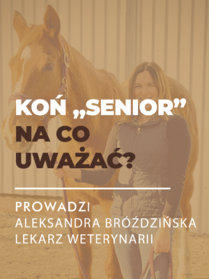 Certyfikowany webinar- Koń "senior"- na co uważać? (nagranie)