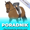Poradnik- 24 zachowania konia pod jeźdźcem, które mogą świadczyć o bólu