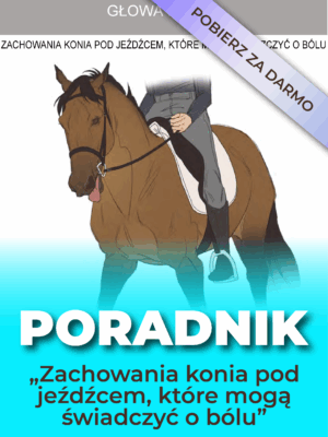 Poradnik- 24 zachowania konia pod jeźdźcem, które mogą świadczyć o bólu