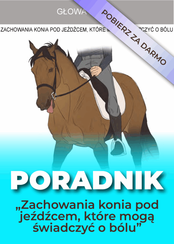 Poradnik- 24 zachowania konia pod jeźdźcem, które mogą świadczyć o bólu