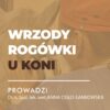 Certyfikowany webinar- Wrzody rogówki u koni (nagranie)