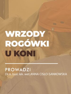 Certyfikowany webinar- Wrzody rogówki u koni (nagranie)