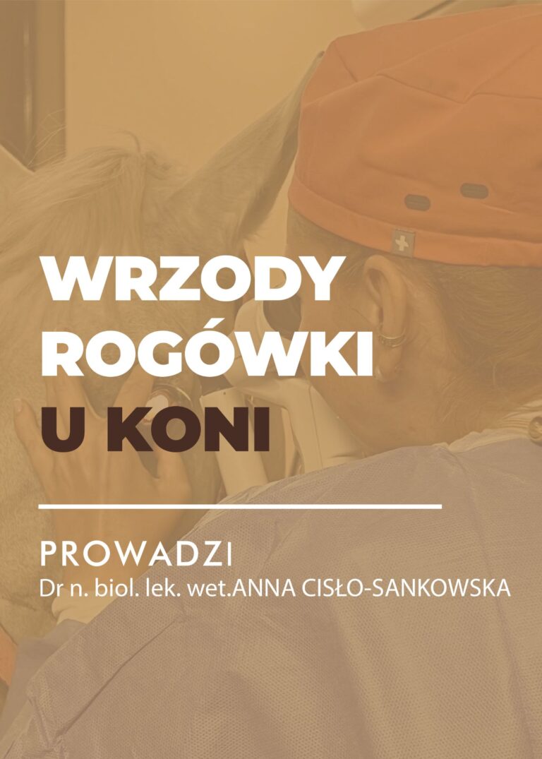 Certyfikowany webinar- Wrzody rogówki u koni (nagranie)