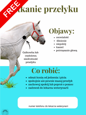 Plakat- Zatkanie przełyku u konia