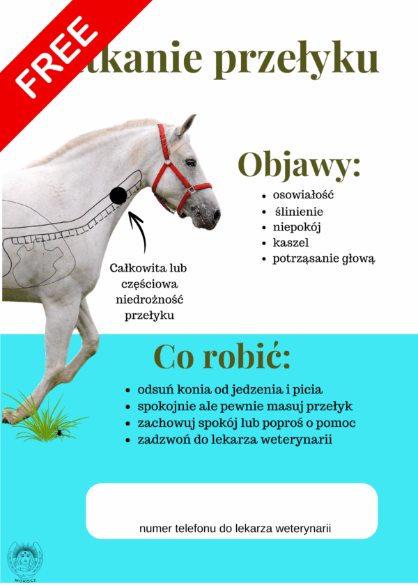 Plakat- Zatkanie przełyku u konia