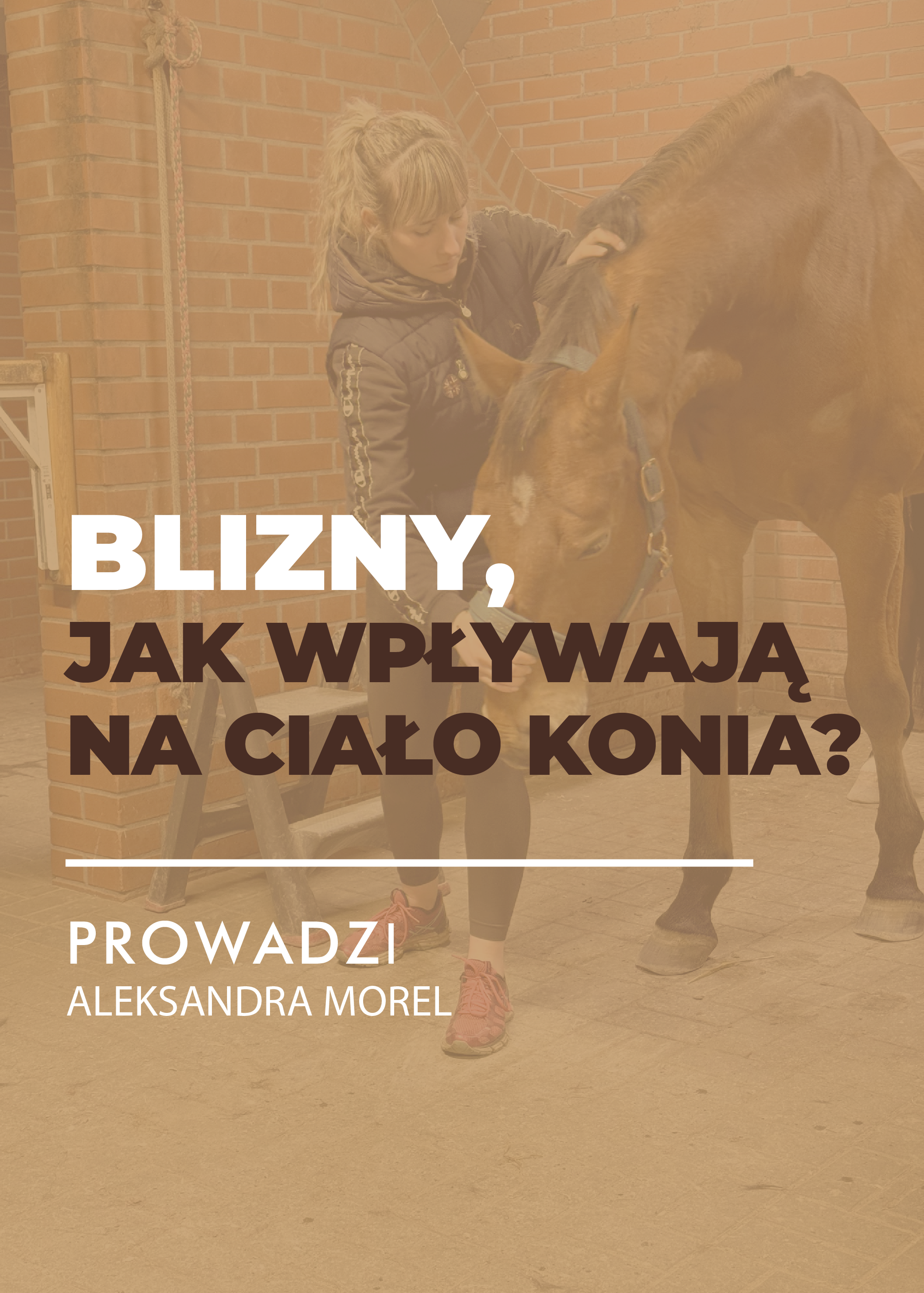 Certyfikowany webinar- Blizny. Jak wpływają na ciało konia? (nagranie)