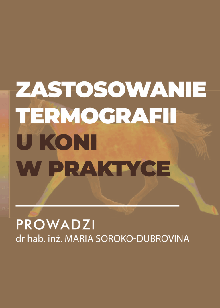 Certyfikowany webinar- Zastosowanie termografii u koni w praktyce (nagranie)