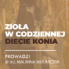 Certyfikowany webinar- Zioła w codziennej diecie koni