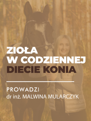 MINIATURY WEBINARY-23 Certyfikowany webinar- Zioła w codziennej diecie koni